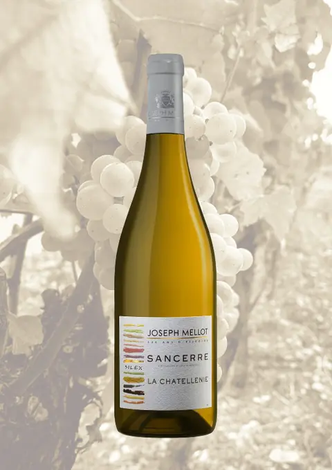 Domaine de Materne Haegelin - Riesling 2022